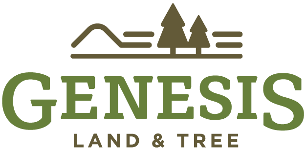Genesis_Color_Logo_web-01